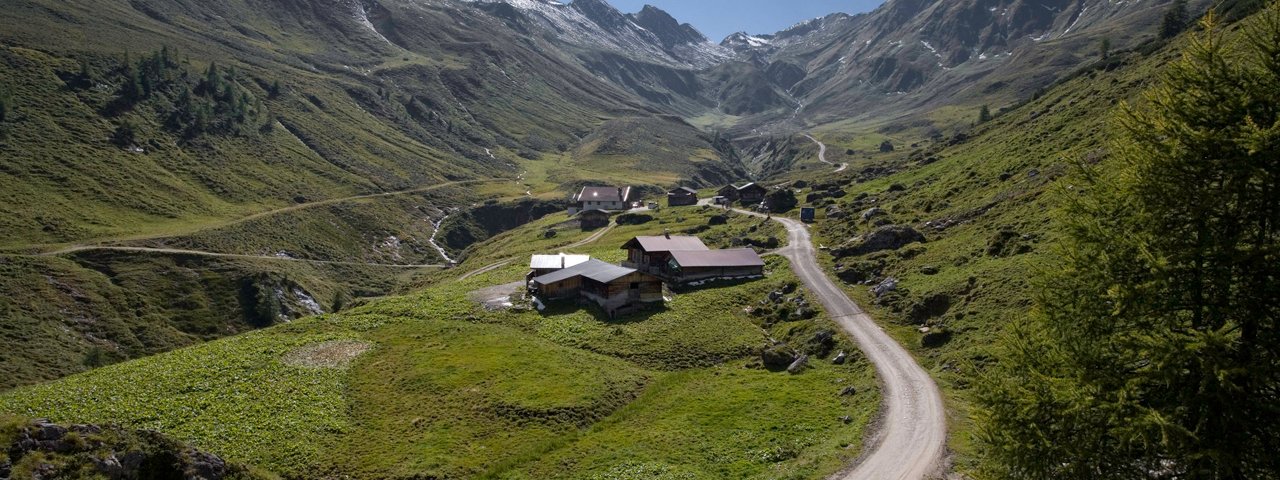 Il caseificio si trova sulla bella malga Junsalm, © Tirol Werbung / Maren Krings
