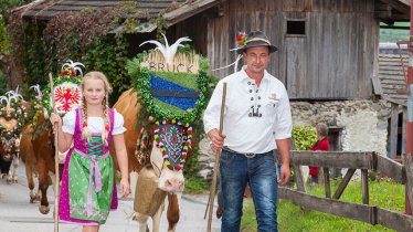 "Aufbischt": il bestiame torna a casa dagli alpeggi nell'Erste Ferienregion im Zillertal addobbato a festa, © Erste Ferienregion im Zillertal / Walter Kraiger