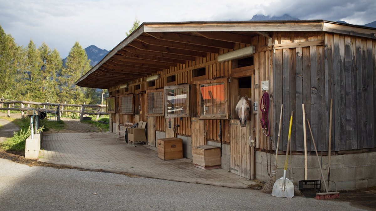 La fattoria Pechhof a Mutters, © Tirol Werbung/Lisa Hörterer