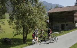 In giro con la e-bike nella Alpbachtal, © Tirol Werbung/Alexander Ziegler