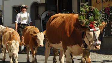 L'arrivo del bestiame a Fulpmes., © TVB Stubai Tirol