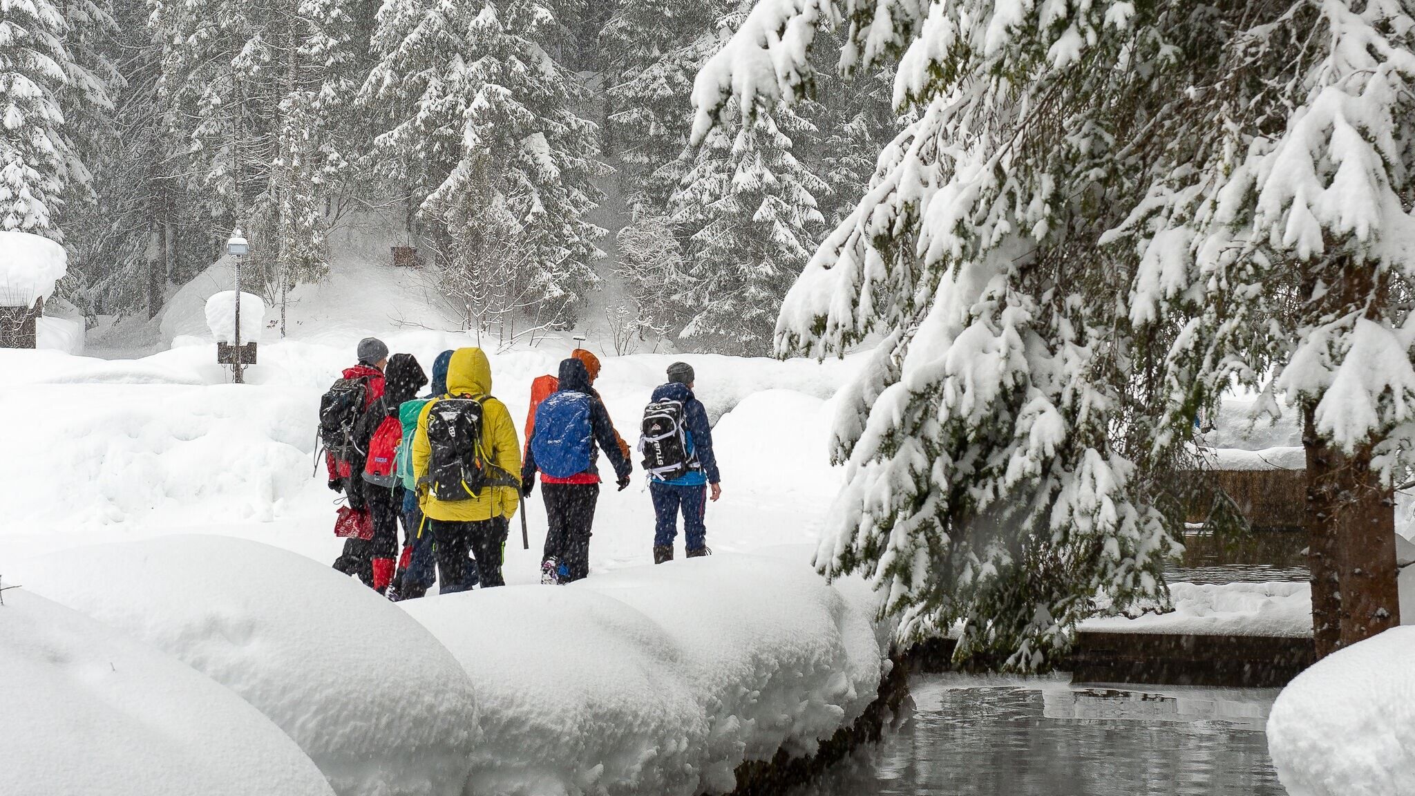 Gruppe von Wanderern im Winter im verschneiten Wald, Winterwandern Seefeld