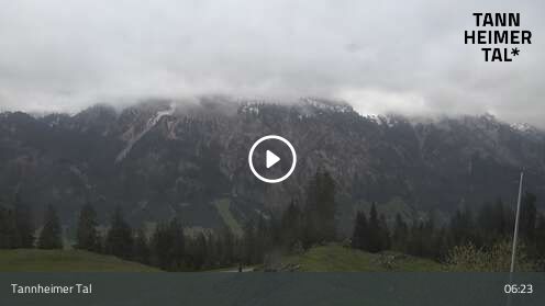 Wabcam Krinnenalpe