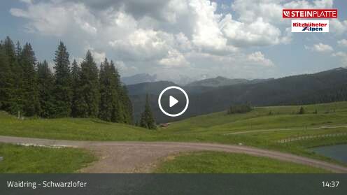 Wabcam Schwarzlofer