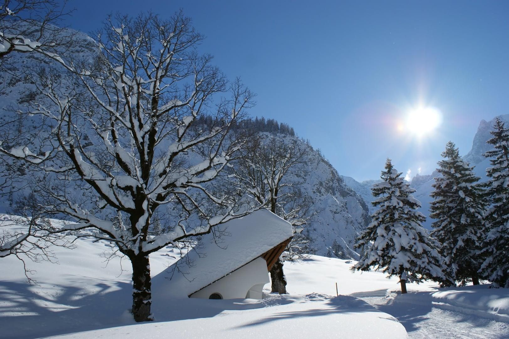 A snowy landscape with a small building under trees. The sky is clear and the sun is shining brightly.