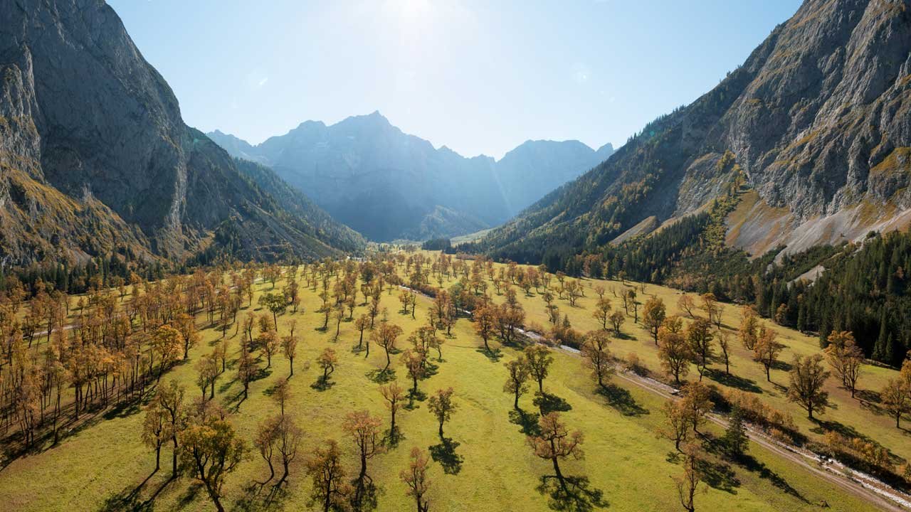 Grande bosco d’aceri, © Tirol Werbung
