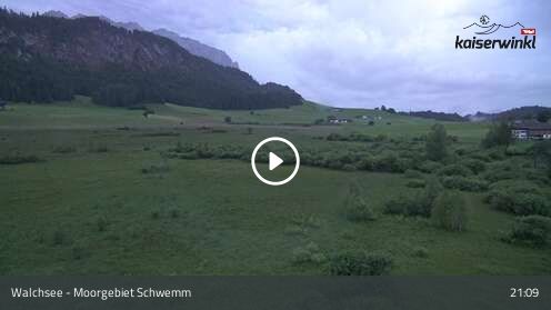 Wabcam Moorgebiet Schwemm