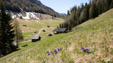 La primavera nella Pfundser Tschey, © Tirol Werbung/Marion Webhofer