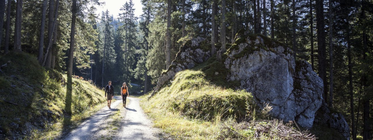 Escursioni nella valle Gaistal, © Tirol Werbung/Dominik Gigler