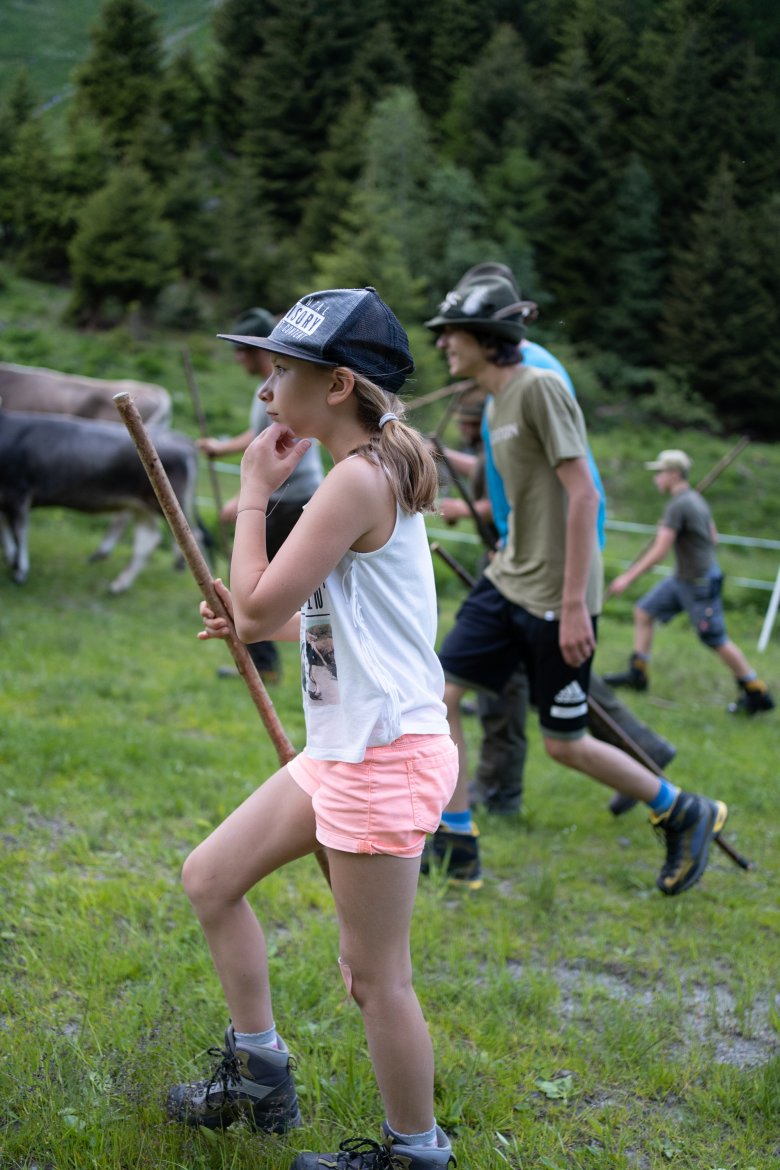 Molti bambini aiutano attivamente con la transumanza del bestiame.