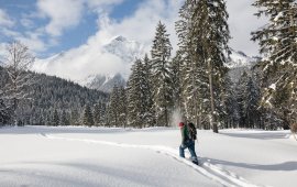 Escursioni con le racchette da neve nella regione del lago Achensee, © Achensee Tourismus