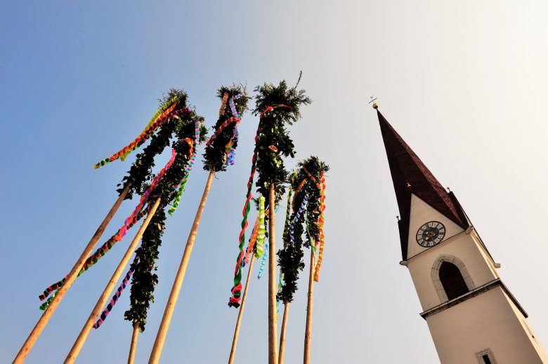 Questi pali delle Palme raggiungono il cielo a Kramsach.
, © Gabriele Grießenböck