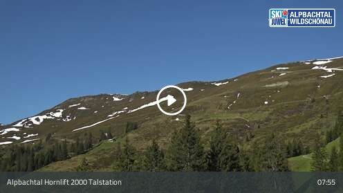 Wabcam Hornlift 2000 Talstation