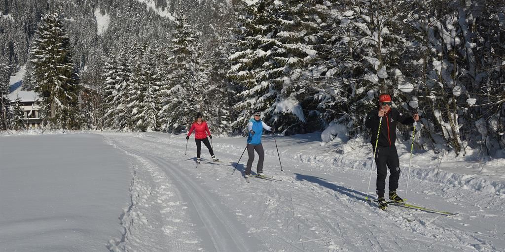 Three people are cross-country skiing in the snow. The forest is covered with fresh, white snow.