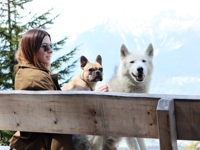 Wandern mit Hund in Tirol