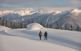 Escursioni invernali a Kartitsch, © Tirol Werbung / Katharina Poblotzki 