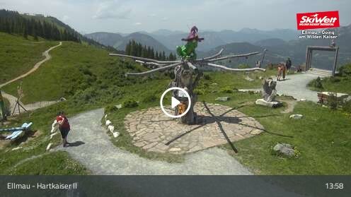 Wabcam Ellmau Hartkaiser II