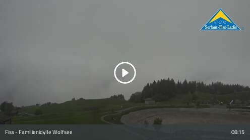 Wabcam Familienidylle Wolfsee