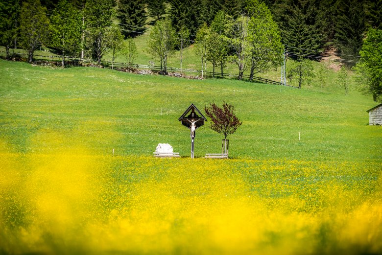 Per molti tirolesi una lunga passeggiata nella natura fa parte della Pasqua.
, © Achim Meurer