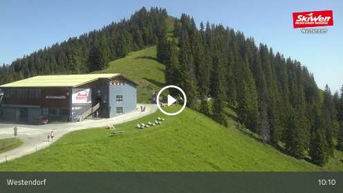 Wabcam Talkaser