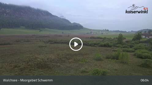 Wabcam Moorgebiet Schwemm