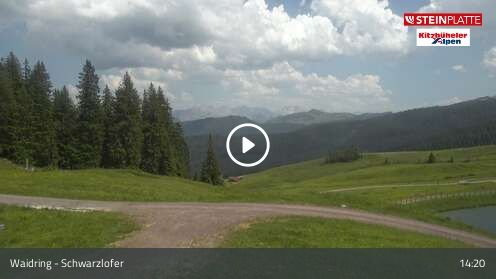 Wabcam Schwarzlofer