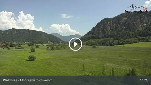 Wabcam Moorgebiet Schwemm