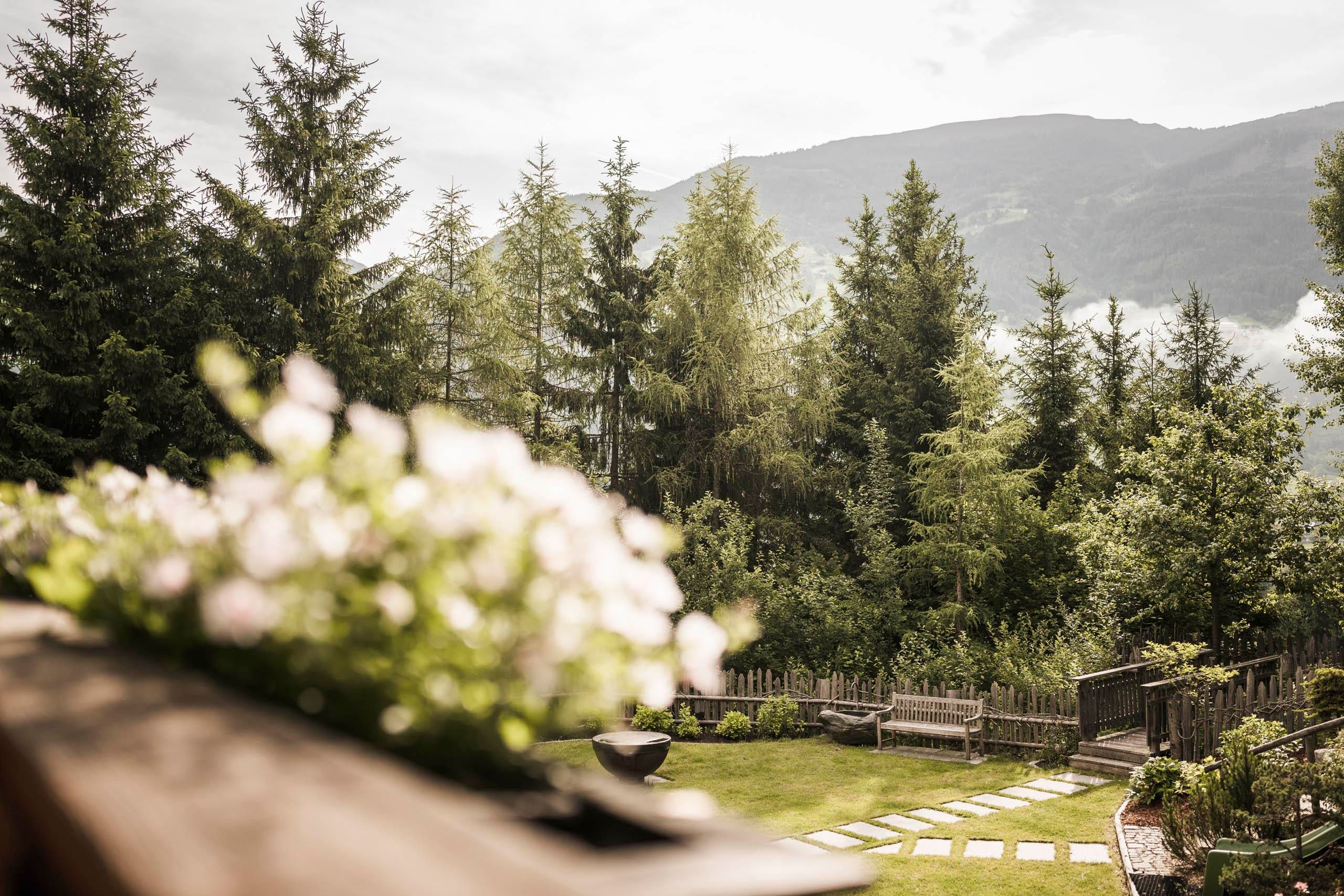 A tranquil garden landscape with green trees and gentle hills in the background. Blooming plants frame the garden and create a peaceful atmosphere.