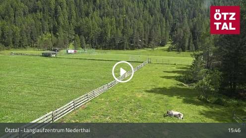 Wabcam Langlaufzentrum Niederthai