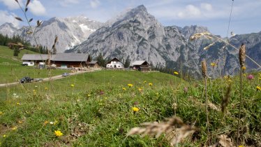 La malga Walder Alm sopra Hall in Tirol, © Tirol Werbung