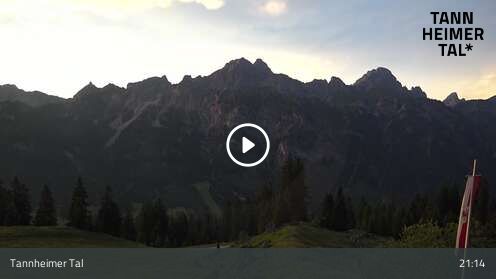 Wabcam Krinnenalpe