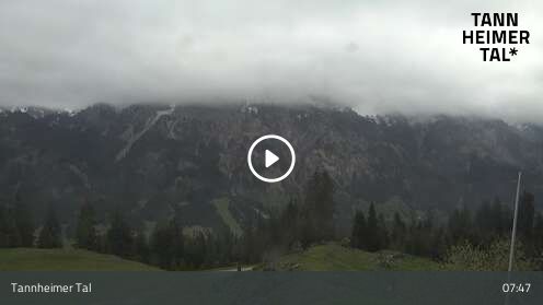 Wabcam Krinnenalpe