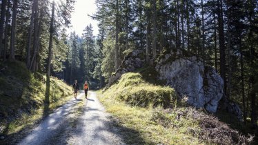 Escursioni nella valle Gaistal, © Tirol Werbung/Dominik Gigler