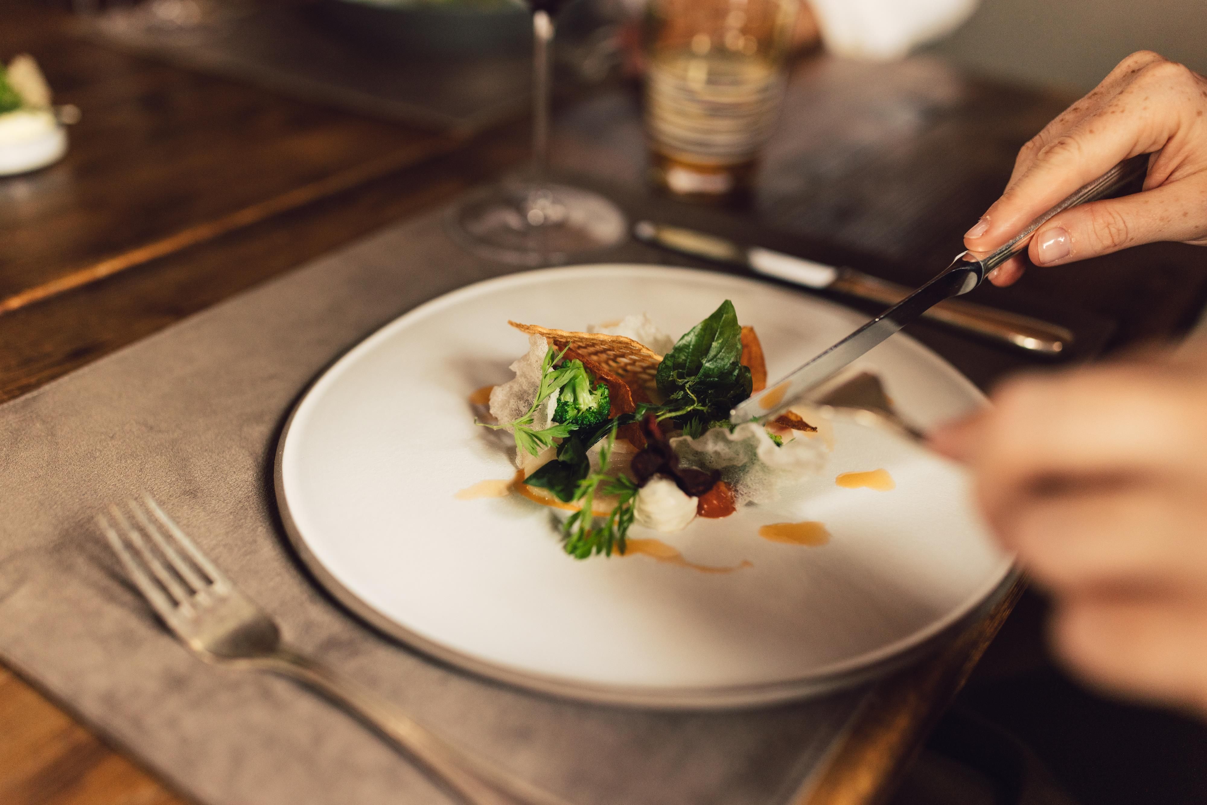 An elegantly arranged plate with fresh vegetables and a fine sauce. A hand is cutting into the dish with a knife.