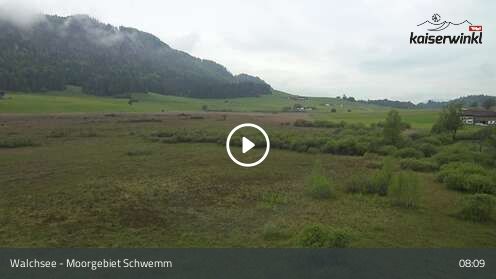 Wabcam Moorgebiet Schwemm