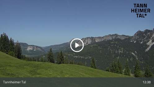 Wabcam Krinnenalpe