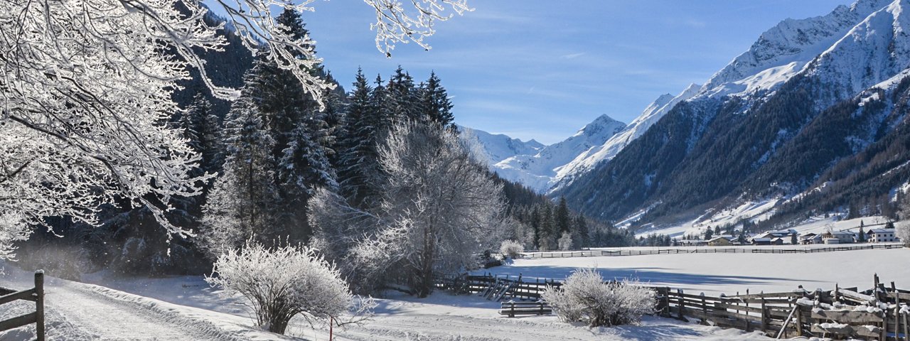 Escursione invernale nella Gschnitztal, © Joakim Strickner